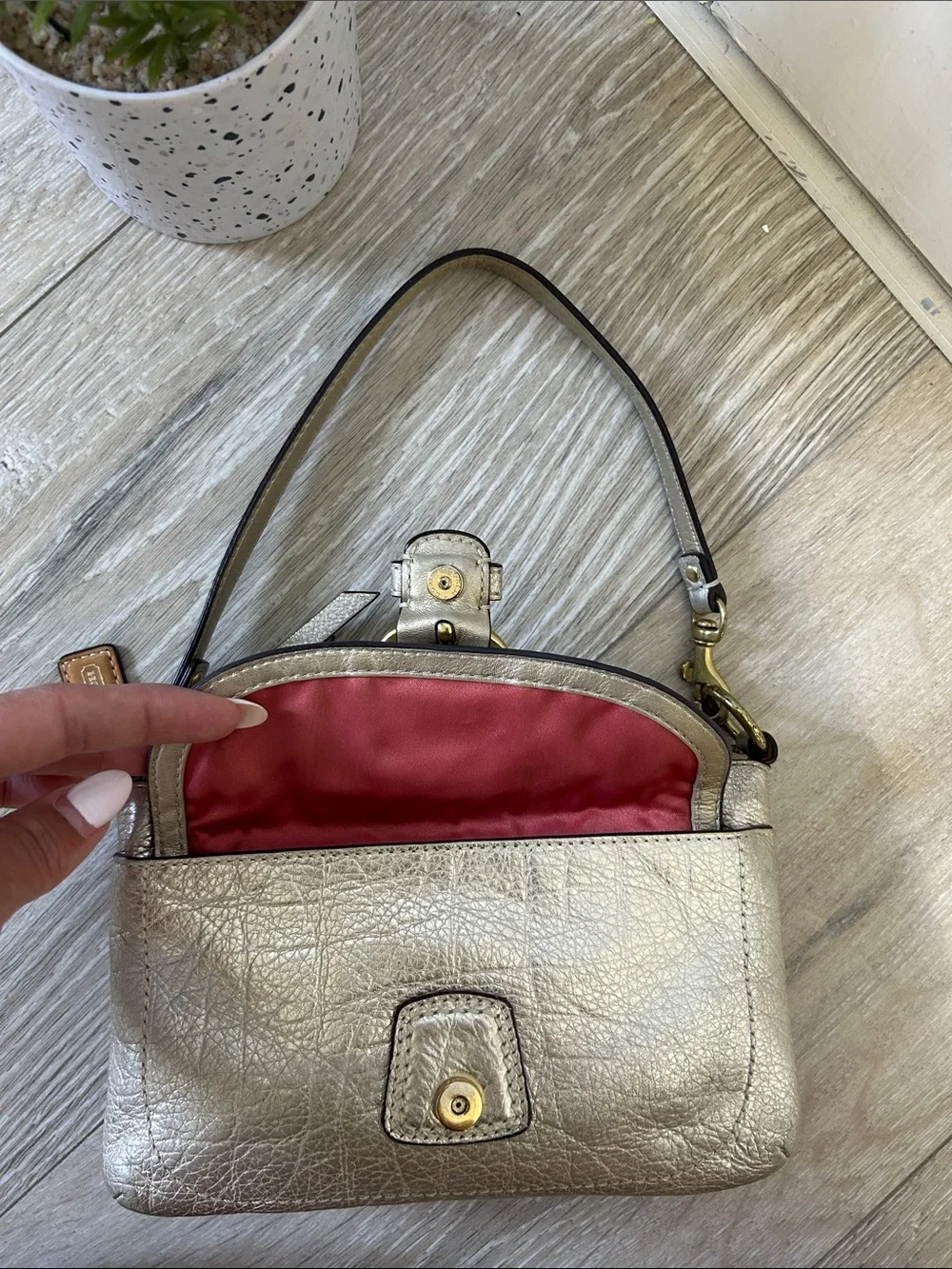 Coach Vintage Metallic Leather Mini Bag